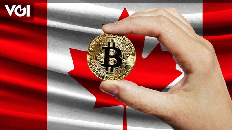 Canadians prefer cash over cryptocurrencies, here’s why!