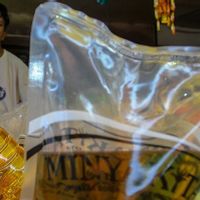 DMO 35% 被认为是有效的，以保持市场上的Minyakita价格