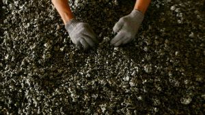 Tambah Penerimaan Negara, Bahlil Naikkan Harga Mineral Acuan Nikel