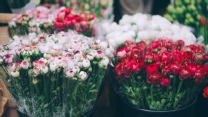 Februari yang Aneh Bagi Penjual Bunga di Amerika Serikat