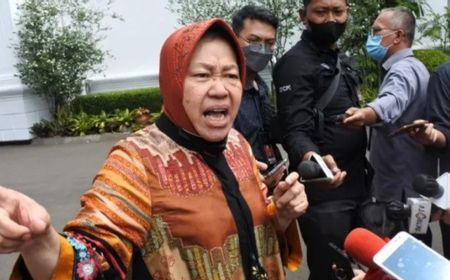 Kasus Pelecehan Seksual yang Dilakukan Ayah Tiri Terhadap Anaknya Membuat Mensos Risma Marah