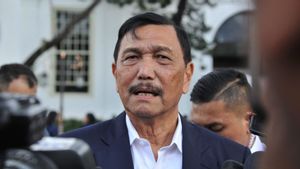 Luhut: Sebagai Perwira TNI, Arahan Presiden Patut Kita Apresiasi