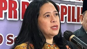 Puan Maharani:Megawati和Prabowo将在不久的将来见面