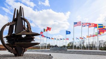 احتمال خروج الولايات المتحدة من الناتو بعد أن هدد ترامب مرة أخرى بضم غرينلاند، هذا ما قاله المتحدث باسم البيت الأبيض