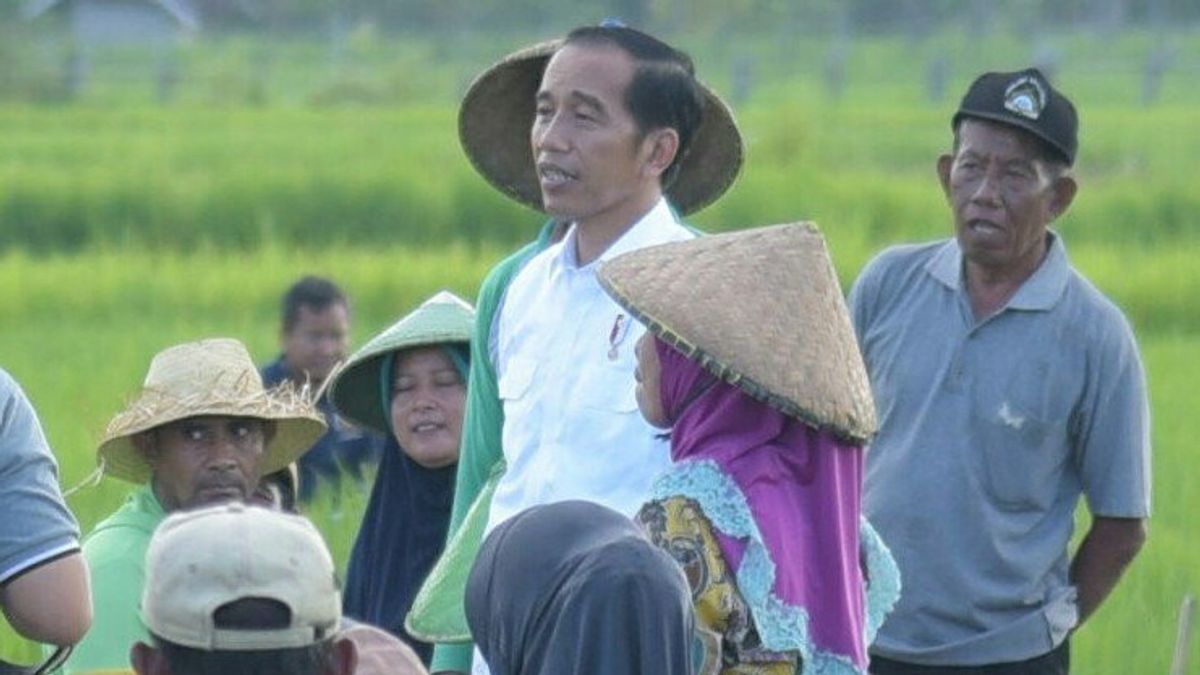 Jokowi Pernah Janji Pecat Mentan Jika Gagal Swasembada Kedelai
