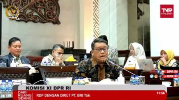 Anggota Komisi XI DPR Usulkan BRI Akuisisi BPD Seluruh Indonesia