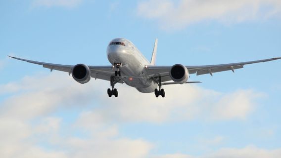 アチェのインドネシア航空は誰が所有していますか?