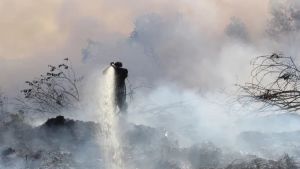 Terik Musim Kemarau, Pemkot Minta Pemilik Lahan Tidur di Kupang Siaga Antisipasi Kebakaran 