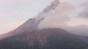 Gunung Lewotobi Laki-laki Erupsi Lontarkan Abu Setinggi 600 Meter