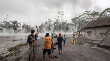 Korban Meninggal Erupsi Semeru Kini jadi 19 Orang, Petugas Gabungan Terus Lakukan Pencarian