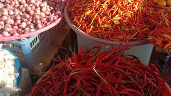 马鲁古的恶劣天气使安汶红辣椒的价格感觉更“辣”