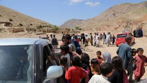 Jutaan Warga Afganistan Terancam Hadapi Insekuritas Pangan