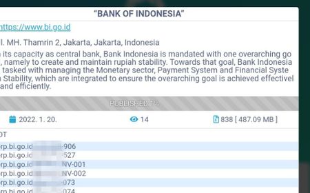 Diserang Kelompok Ransomware Paling Ganas, Bank Indonesia Berhasil Pulih