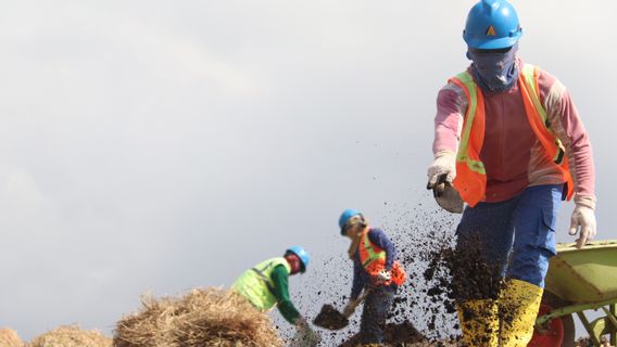 Merdeka Copper Gold Milik Konglomerat Edwin Soeryadjaya dan Sandiaga Uno Lakukan Ekplorasi di 3 Daerah, Gelontorkan Biaya Rp300,78 Miliar