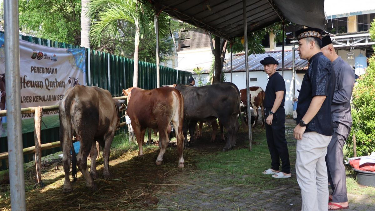 Polres Kepulauan Seribu Salurkan Daging Hewan Kurban untuk Warga Kepulauan 