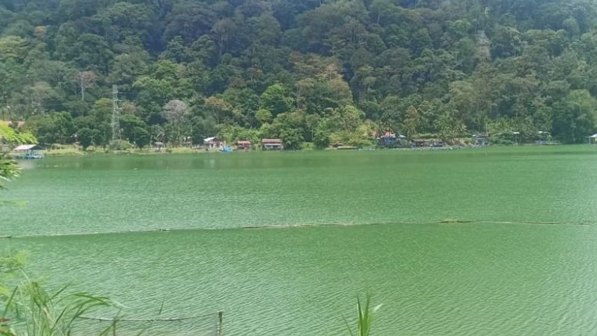 Dead Fish Seeds In Lake Maninjau Reaches 5 Tons