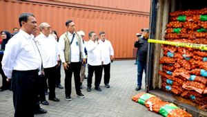 Mentan Amran Tegaskan Tidak Ada Toleransi terhadap Praktik Impor Pangan Ilegal