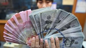 Bank Indonesia: Cadangan Devisa Naik 400 Juta Dolar, Penarikan Utang dan Pajak jadi Penopang