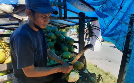 Pedagang Kelapa Muda di Pariaman Banjir Pesanan karena Warga Percaya Bisa Kurangi Efek Vaksin