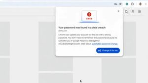 Google Presents Auto Password Substitute Feature In Chrome