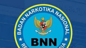 Jaringan Narkoba di Bangka Belitung Berhasil Terbongkar, BNNP Ungkap Ada Keterlibatan Anak Kecil