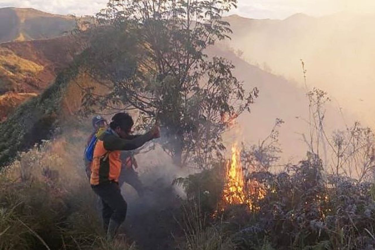 TNBTSグレートホールは、ブロモ地域の森林火災や陸上火災の影響を受けた地域の面積を計算します