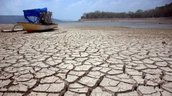 Entering The Dry Season 2023, 6 Districts In Central Lombok Away From Droughts Of Natural Waters