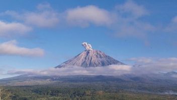 スメル山噴火、ムンタッカンアブセティンギ600メートル