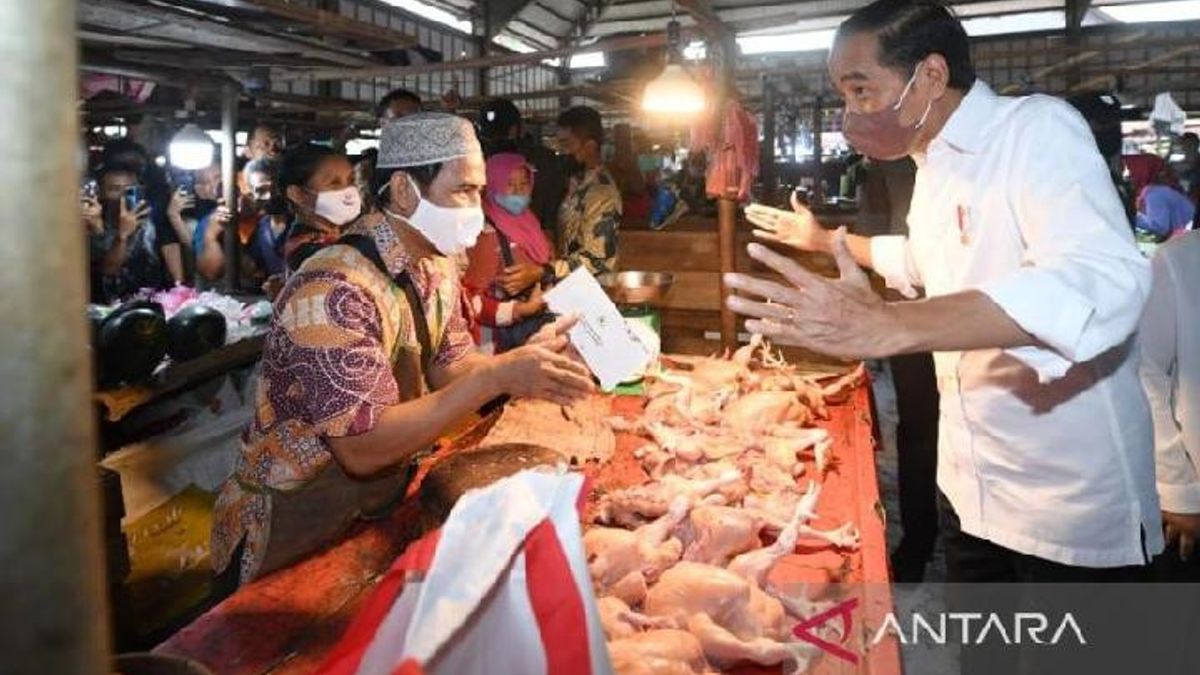 For Jokowi, Direct Cash Assistance For Cooking Oil Is The Best Choice For Current Conditions: Whether It Becomes A Burden Or Not, That's A Problem Later