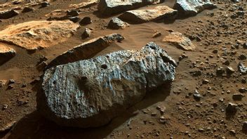 Collection of Martian Rocks That Hit Earth Detected to Be Young