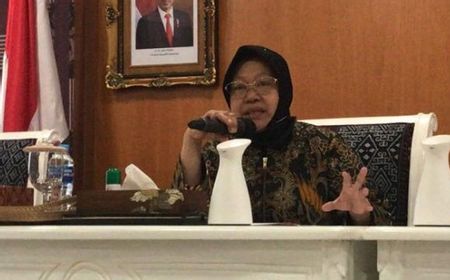 Cerita Panjang Mensos Risma Tentang 'Kuburan Massal' Beras Bansos Jokowi di Depok