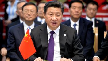 习近平总统表示，中国的乌克兰冲突建议反映了全球前景