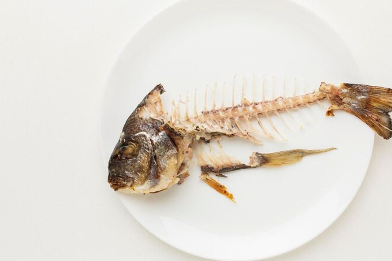 Combien de temps Un poisson se démâche dans sa gorge, Voyez les faits