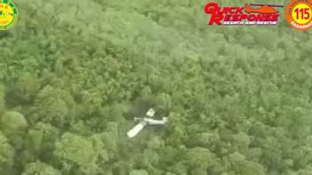 ثواني تحطم طائرة سوزي في تيميكا حتى تم العثور أخيرا على فريق البحث والإنقاذ