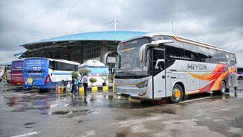 准备就绪,2025年圣诞节和2026年新年的免费返乡计划将再次出现!