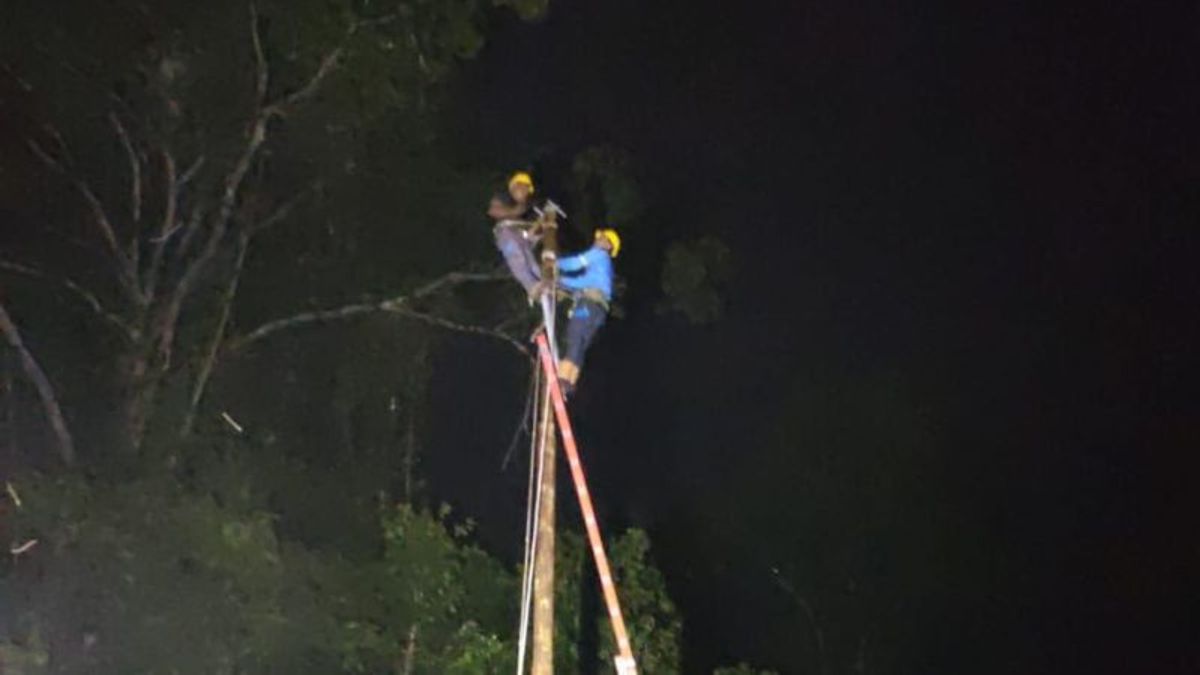 松巴哇岛的电网受极端天气影响，PLN准备新的电线杆建设