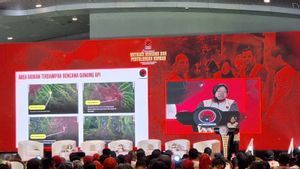 Contohkan Tsunami Aceh 2004, PDIP Tekankan Pentingnya Kearifan Lokal Saat Hadapi Bencana