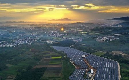 Energi Hijau Teknologi Fotovoltaik Tingkatkan Kesejahteraan Petani di Zhejiang, China