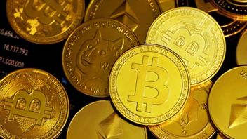Avant le verdict du tribe Bunga de la Fed, le prix du Bitcoin est passé à 682 millions de roupies