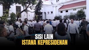 The Other Side Of The Jakarta State Palace, When President Prabowo Holds A Plenary Cabinet Session