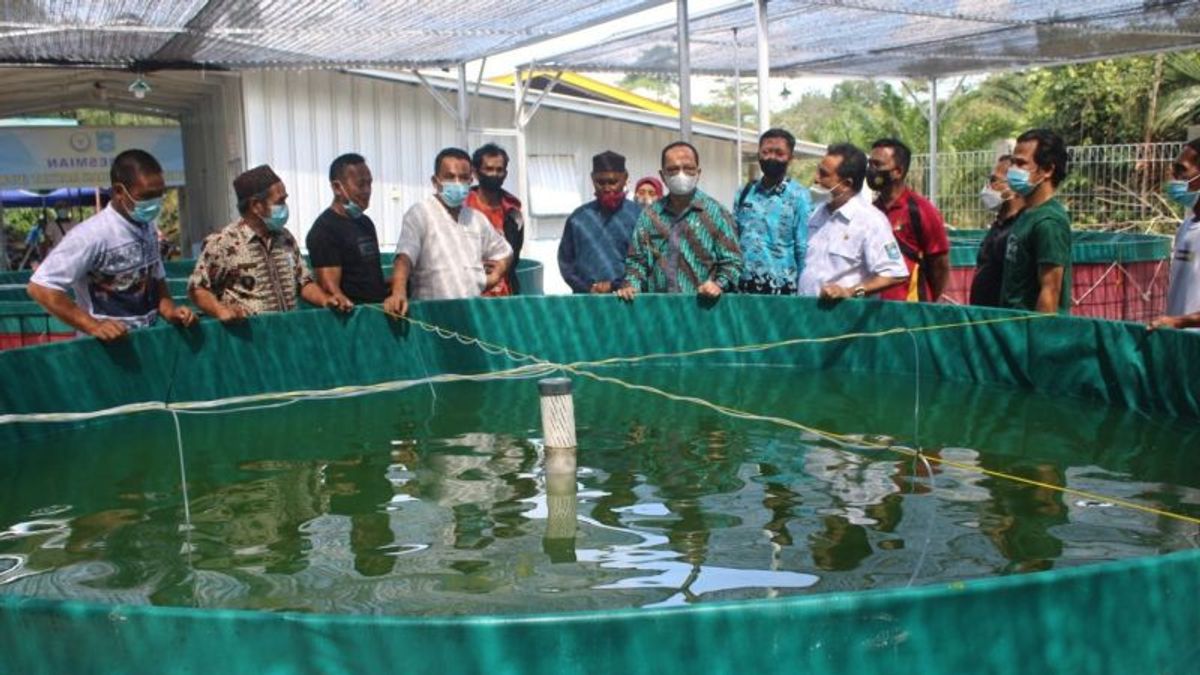 Produksi Ikan Laut Bangka Tengah Capai 10.000 Ton, Mengalami Penurunan Dibanding Tahun Sebelumnya