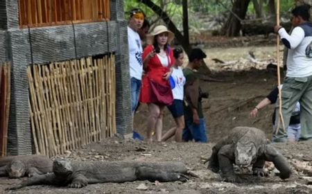 Taman Nasional Komodo Akan Ditutup Berkala 1 Hari dalam Seminggu