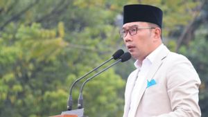 Elektabilitas Ridwan Kamil Jadi Cawapres Lebih Tinggi Daripada Sandiaga Uno Hingga Erick Thohir