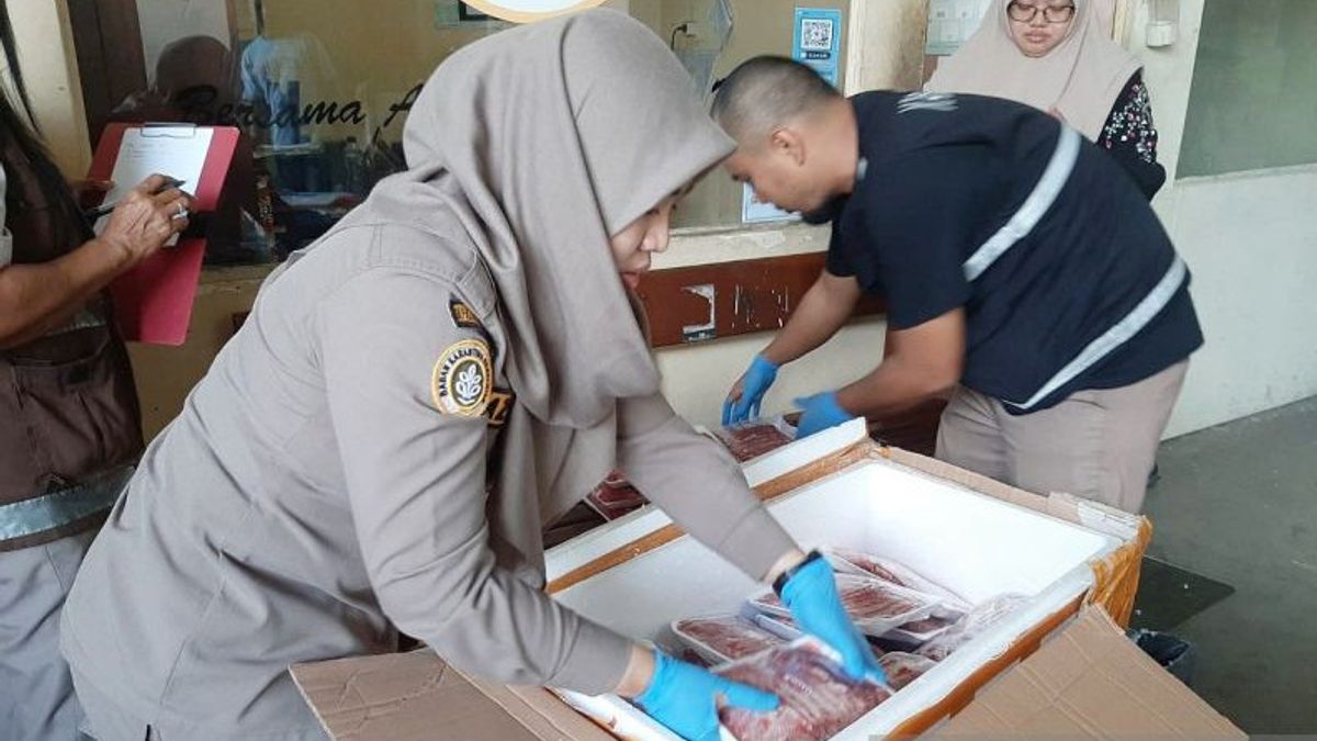 Incomplete Documents, 49 Kg Of Beef From Makassar Confiscated In West Papua