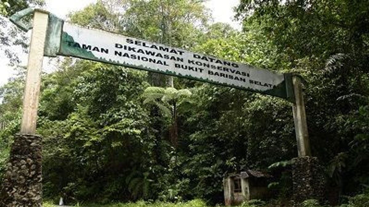 南スラウェシの森林被覆が30%未満、DPRはバーイアン山脈の修復を要求