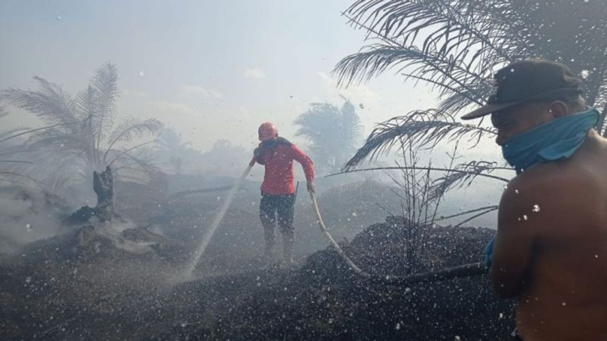 中加里曼丹的突出火灾，19个活跃的森林和陆地火灾易发柱24个90天