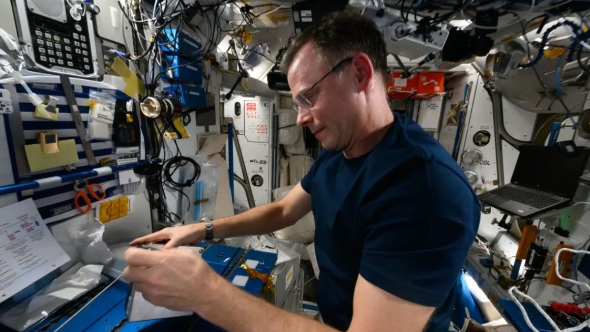 Des astronautes font des expériences botaniques sur la station spatiale