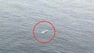 Kapal Mati Mesin di Perairan Manokwari Ditemukan Tim SAR