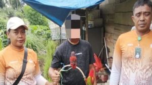 2 Nuri Cantik Diselamatkan BKSDA dari Pasar di Halmahera Utara