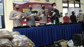 La Police Arrête Une Femme Qui Fabriquait Du Tabac Synthétique à Cisauk, Barbuk 37 Kg Saisis